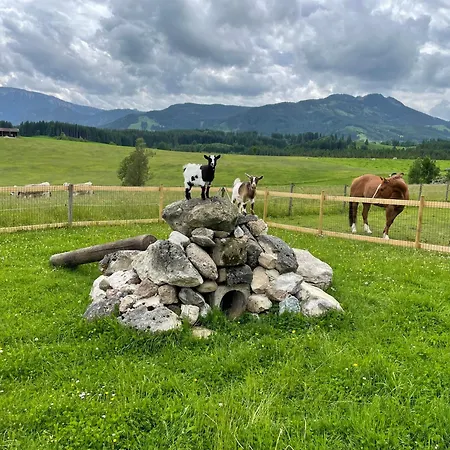 Alpen Panoramahof
