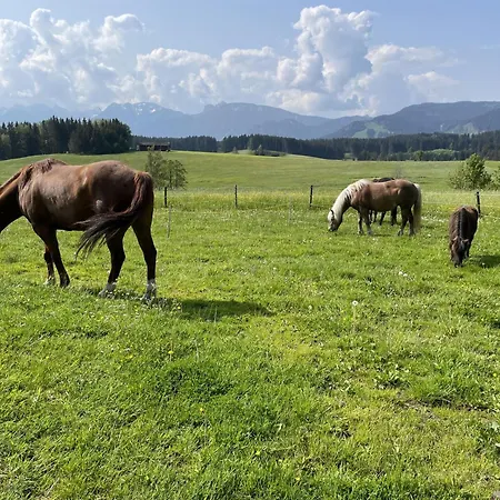 Alpen Panoramahof Apartmán Nesselwang