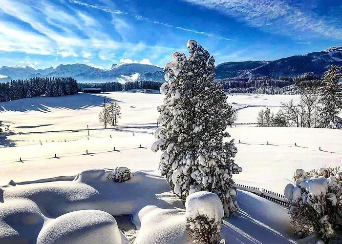 Alpen Panoramahof Daire Nesselwang