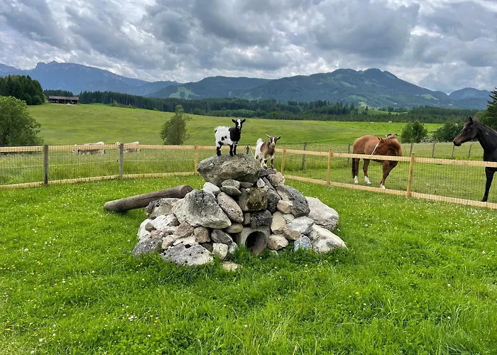 Alpen Panoramahof