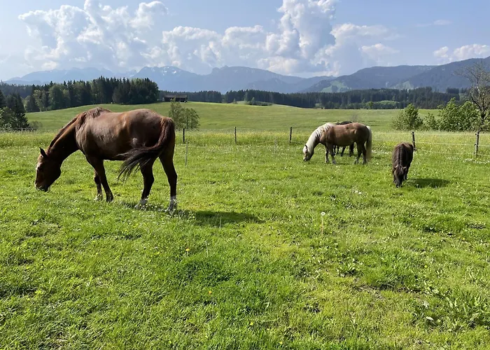Alpen Panoramahof Daire Nesselwang